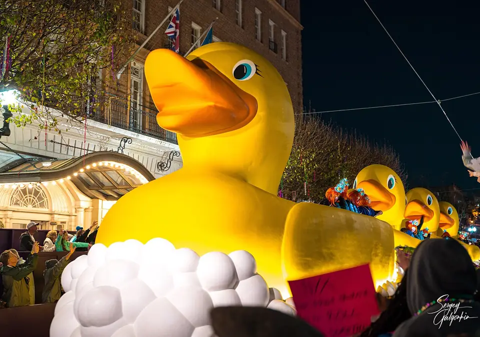 Krewe of Muses — photo from Wikimedia Commons