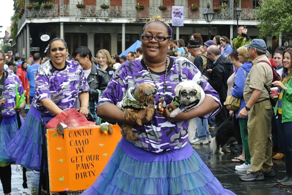 Barkus 2014 — photo from Wikimedia Commons