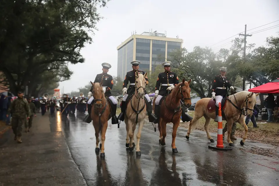 Rex parade 2014 — photo from Wikimedia Commons
